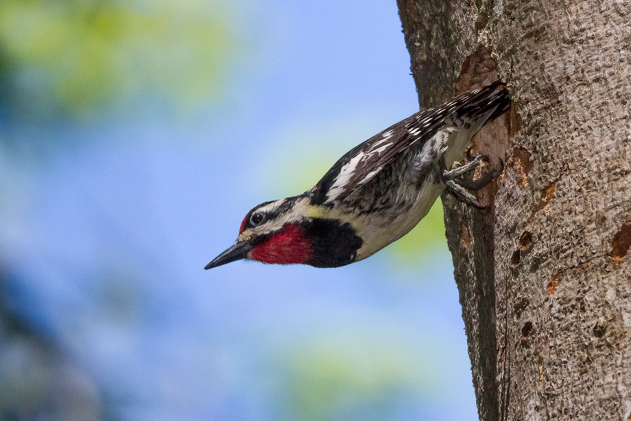 IMG_1221-Edit.jpg